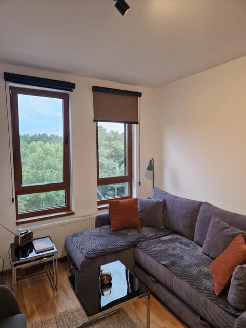 Divcinova - Apartman Gorski Apartment in Zlatibor District, Serbia