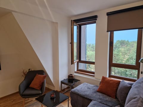 Divcinova - Apartman Gorski Apartment in Zlatibor District, Serbia