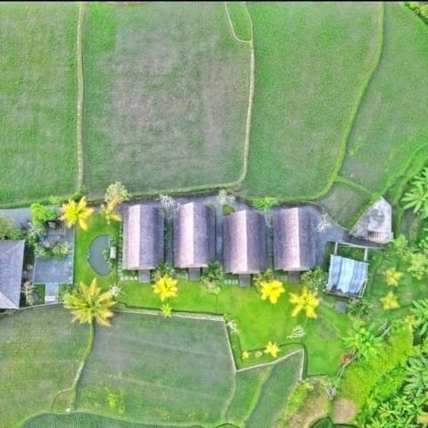 Studio coco non ac in ubud, pvt kitchen by iLys C Apartment in Sukawati