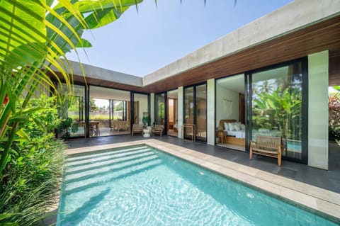 Property building, Patio, Swimming pool, Swimming pool