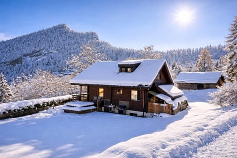 Property building, Day, Natural landscape, Winter, Mountain view