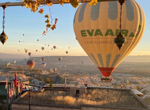 View (from property/room), View (from property/room)