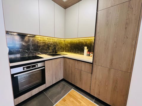 Apartman Tara Lux Apartment in Federation of Bosnia and Herzegovina