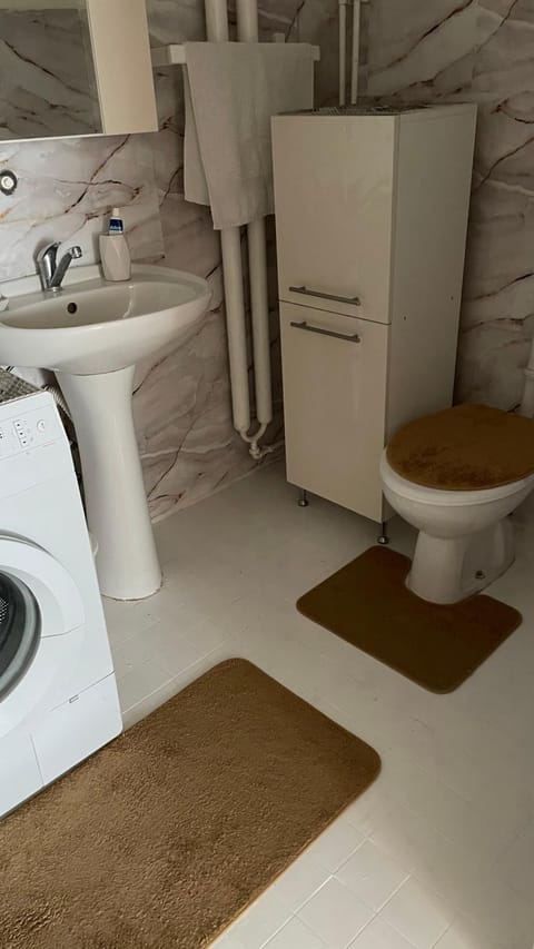 Toilet, Bathroom, washing machine