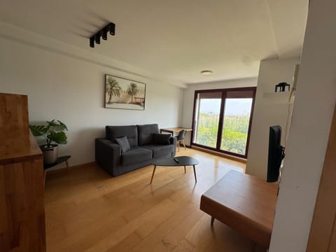 New Loft park central, biopark Apartment in Valencia