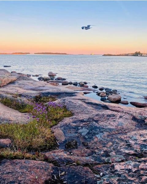 Keidas meren lähellä Apartment in Helsinki