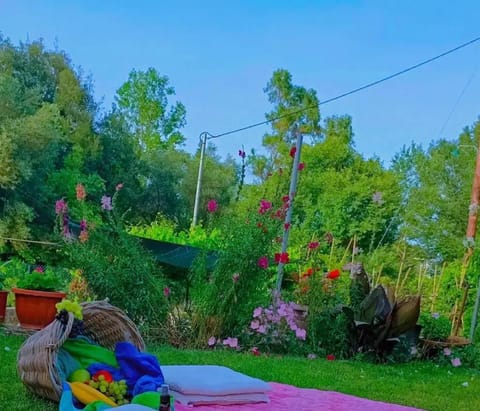 Natural landscape, Garden, Garden view