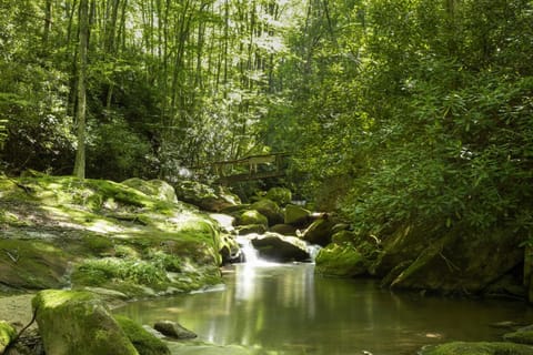 Hideaway Cabin at Buckeye Creek Cabin in Beech Mountain