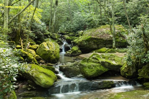 Hideaway Cabin at Buckeye Creek Cabin in Beech Mountain