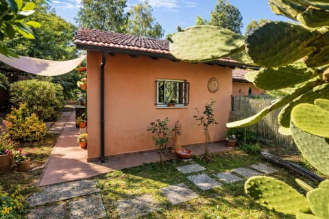 Monolocale Le Mimose Apartment in Tuscany