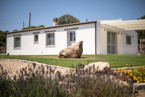 Property building, Garden view