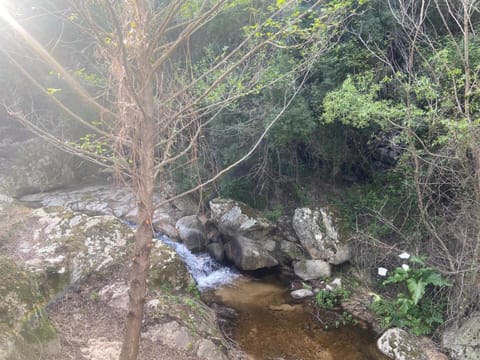 Serenella House in Sardinia