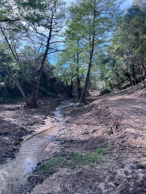 Serenella House in Sardinia