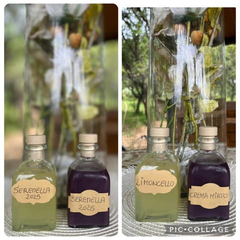 Serenella House in Sardinia