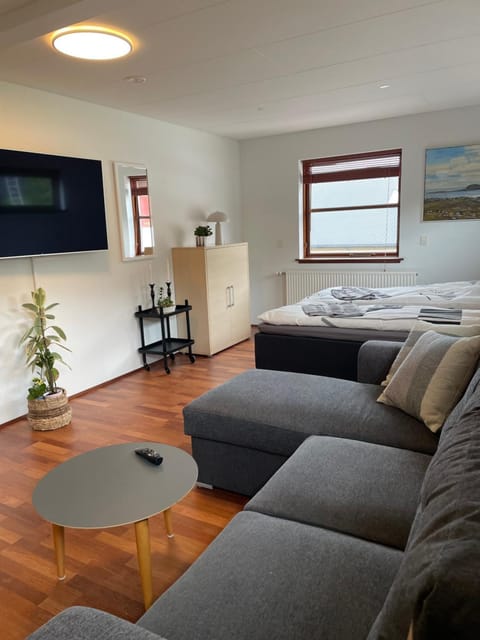 Bed, TV and multimedia, Photo of the whole room