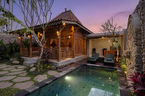 Property building, Patio, Natural landscape, Garden, Garden view, Pool view, Swimming pool, sunbed