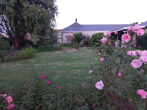 Property building, Summer, Garden, Garden view