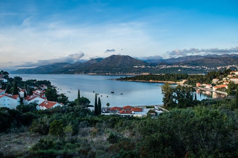 Bird's eye view, Sea view