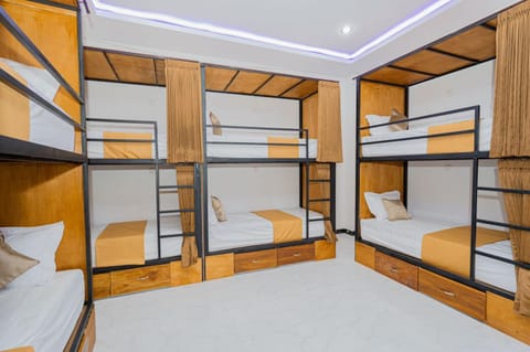 Bed, Bedroom, bunk bed, wardrobe