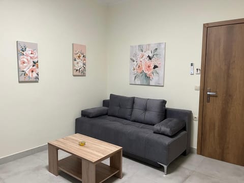 GREENHOUSE maleme Apartment in Crete