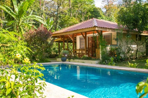 Spring, Day, Garden, Swimming pool, Swimming pool