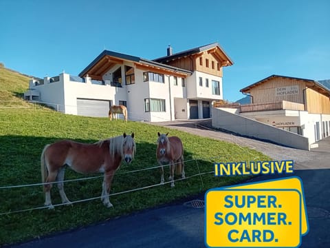 Haus Eisenhut Apartment in Serfaus