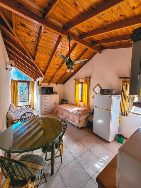 Bed, Kitchen or kitchenette, Living room, Photo of the whole room, Dining area, Bedroom