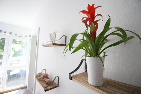 Gemütliches Apartment bei Köln Apartment in Cologne