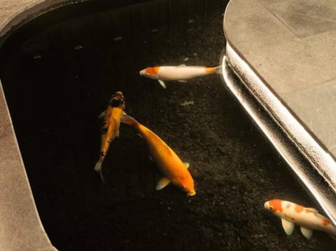 Modern Palace in Seminyak - Qmoya Villa Villa in North Kuta