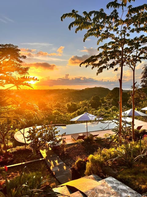 Natural landscape, Garden