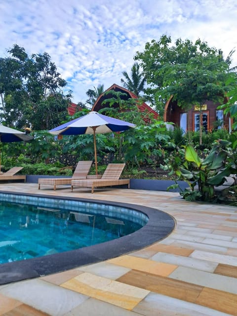 Garden, Swimming pool