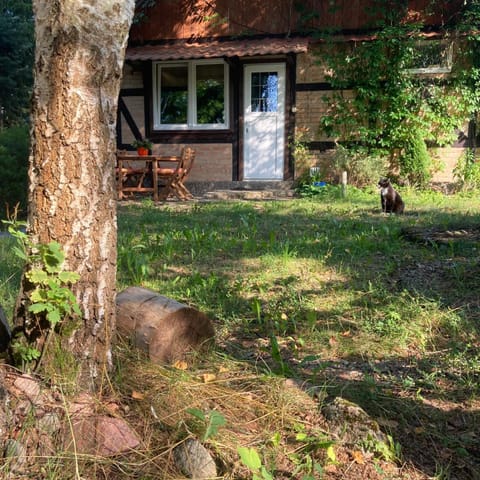 Letnia Oficyna Apartment in Pomeranian Voivodeship