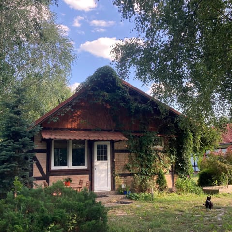 Letnia Oficyna Apartment in Pomeranian Voivodeship