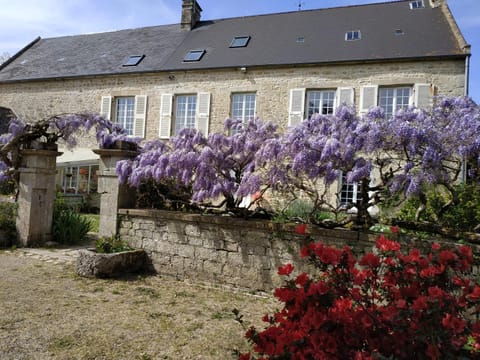 Property building, Garden, Garden
