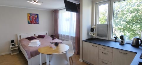 Bed, TV and multimedia, Kitchen or kitchenette, Photo of the whole room, Seating area, Bedroom