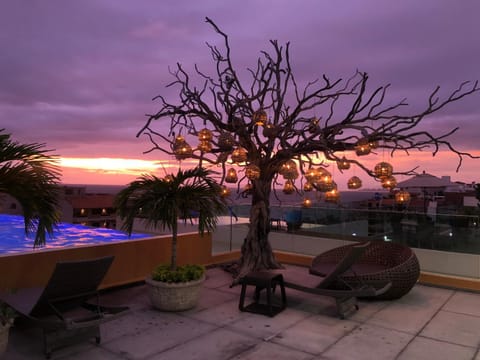 Pool view, Swimming pool, Sunset