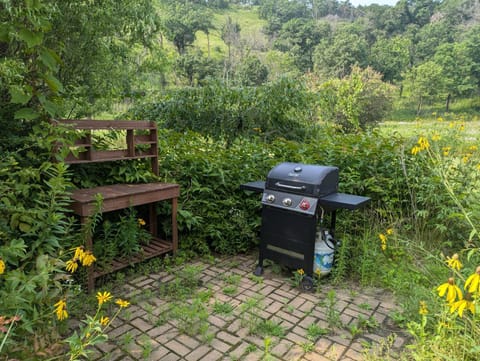 BBQ facilities