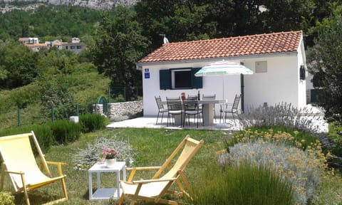Property building, Summer, Garden