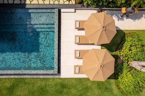 Day, Swimming pool, sunbed