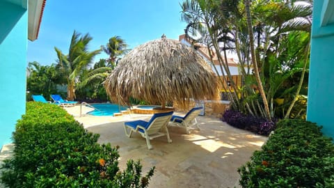 Summer, Garden, Garden view, sunbed