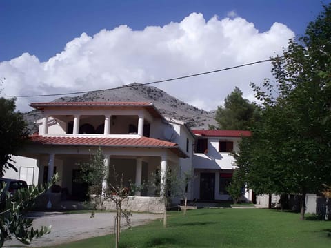 Property building, Summer
