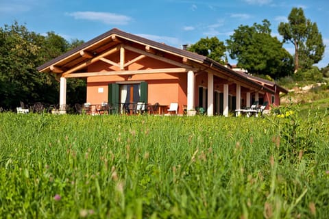 BBQ facilities, Garden, Area and facilities