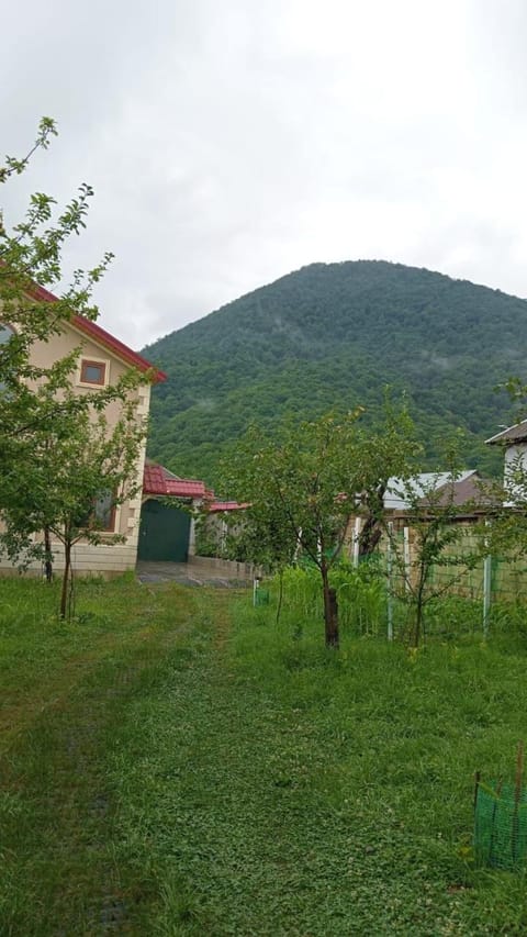 Day, Natural landscape, Garden, Mountain view