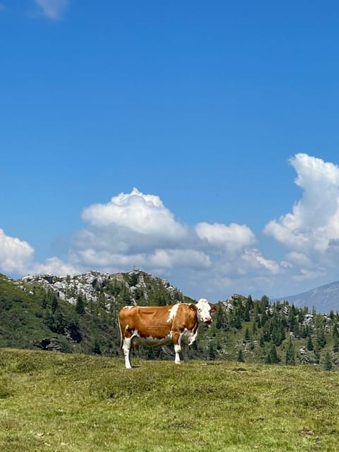 Almhütte Badstube House in Carinthia, Austria