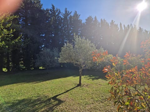 le mazet de LOÏS House in Carpentras