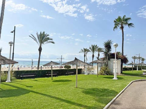 Day, Garden, Garden view, Sea view