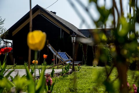 Property building, Spring, Day, Garden, Garden view