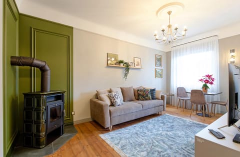 Living room, Decorative detail, Seating area, fireplace, flat iron