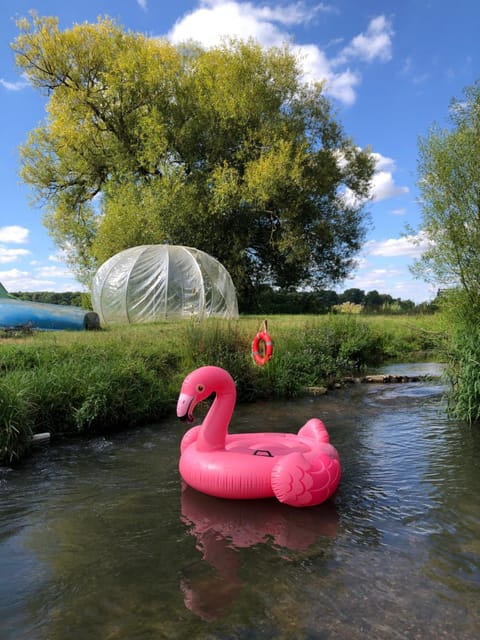 HERTFORD Farm yurt Tent Camping fire pit bbq pet friendly Campground/ 
RV Resort in Hertford