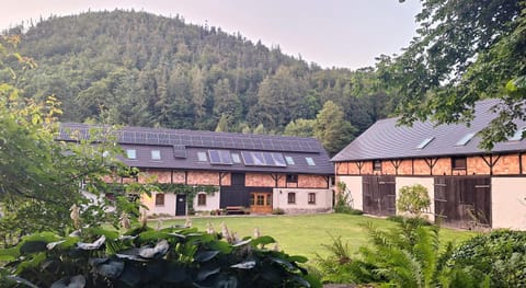Garden, Garden view, Mountain view